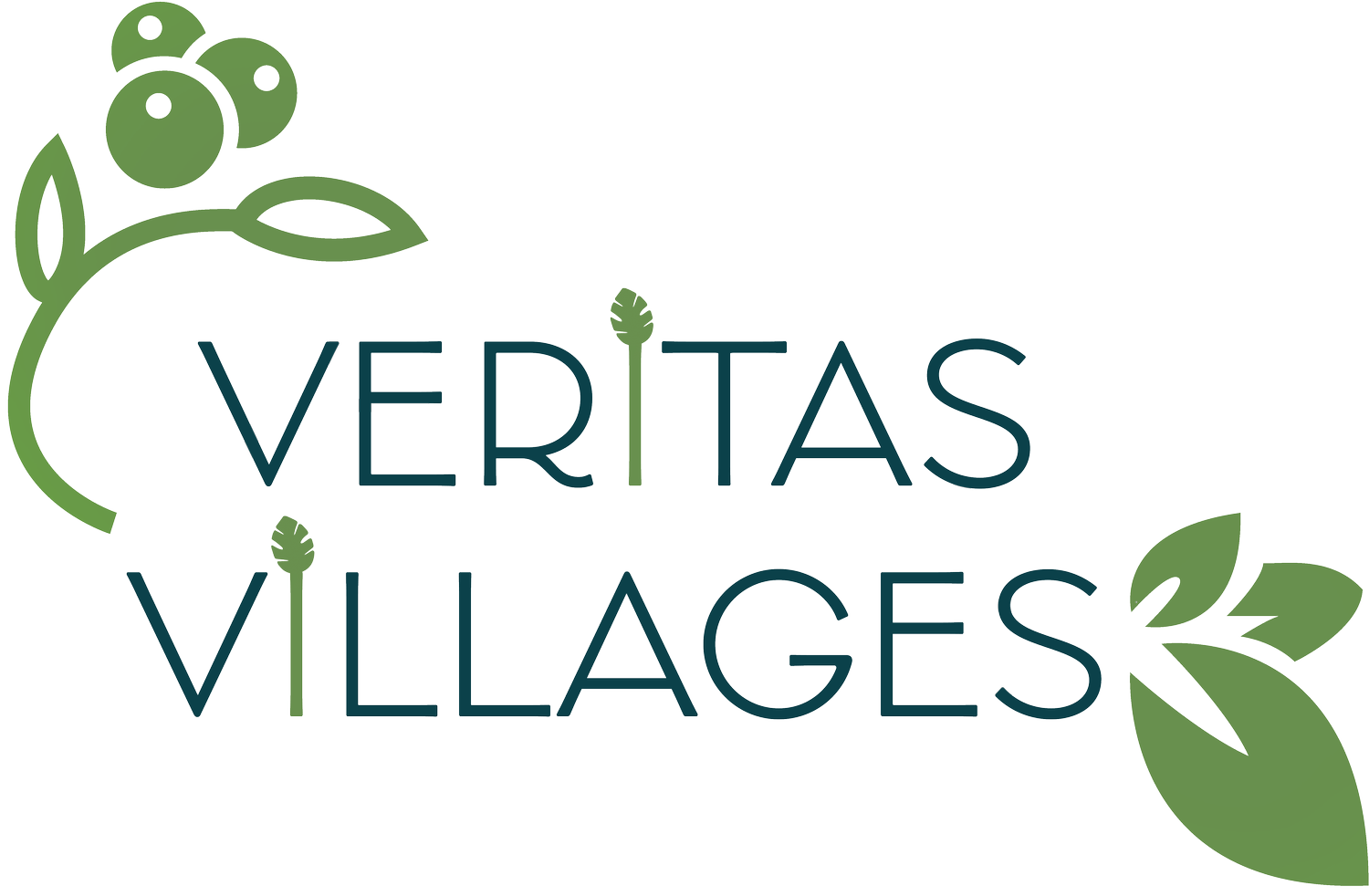 Veritas Villages